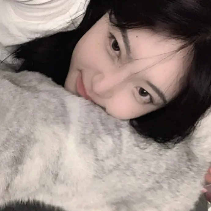 奥斯汀书会